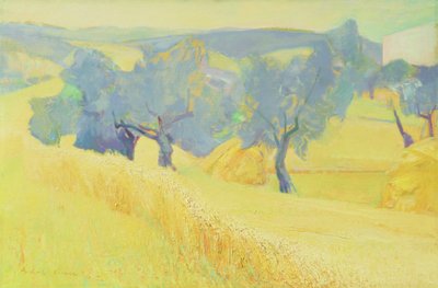 Olive Trees in Tuscany, 1966 by Antonio Ciccone