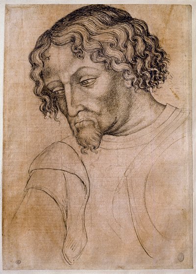 Bust of bearded man, three-quarters head leaning to the left. Drawing from the workshop of Antonio di Puccio Pisano dit Pisanello. Feather (drawing), blood. Louvre, drawing firm by Antonio Pisanello