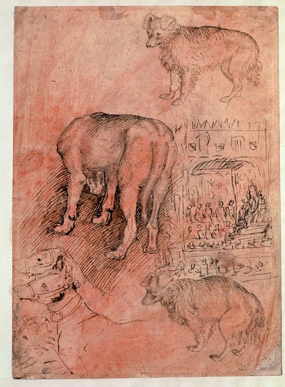 Dog Studies. Aulic Episode. Drawing by Antonio Pisano dit il Pisanello by Antonio Pisanello
