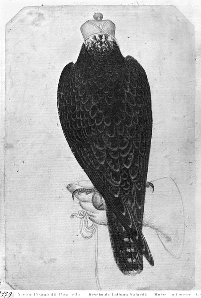 Hawk on Hand, Seen from Behind, from the The Vallardi Album by Antonio Pisanello