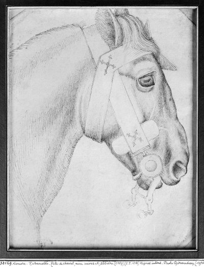 Head of a Horse, from the The Vallardi Album by Antonio Pisanello