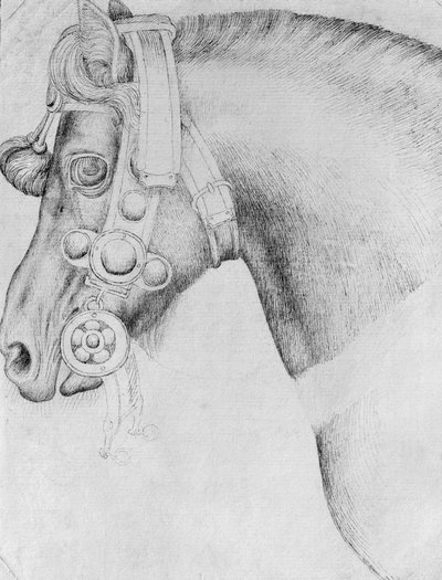 Head of a horse, from the The Vallardi Album by Antonio Pisanello