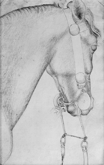 Head of a Horse, from the The Vallardi Album by Antonio Pisanello
