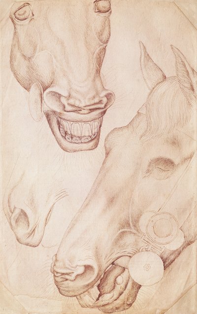 Heads of Horses, from the Vallardi Album by Antonio Pisanello