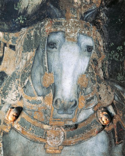 Horse in a Harness (detail) by Antonio Pisanello