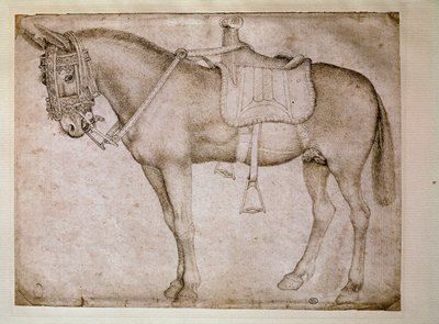 Mule Harness. Drawing by Antonio Pisano dit il Pisanello by Antonio Pisanello