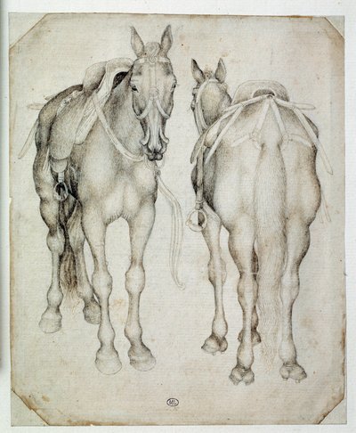 Two harnesses, seen three quarters, one from the front and the other from the back. Drawing by Pisanello by Antonio Pisanello