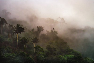 Corcovado XIX, 2020 by Antonio Schubert