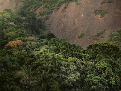 Corcovado XV, 2020 by Antonio Schubert