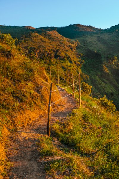 Trail by Antonio Schubert