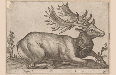 Fallow deer by Antonio Tempesta