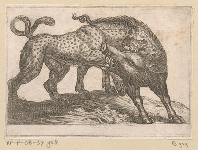 A Leopard Fighting with a Wild Boar Fighting Animals (series title) by Antonio Tempesta