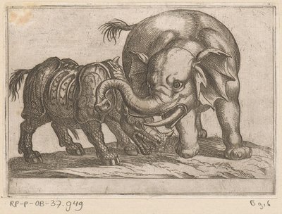 A rhinoceros fights with an elephant by Antonio Tempesta