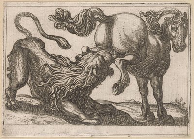 A Horse Trampling a Lion (Fighting Animals) by Antonio Tempesta
