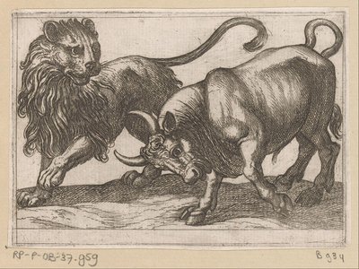 A Bull Attacking a Lion by Antonio Tempesta