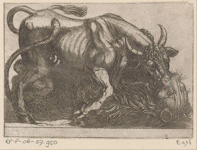 A Bull Fighting with a Lion by Antonio Tempesta