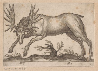 Elk by Antonio Tempesta
