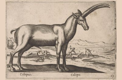Goat-like Creature by Antonio Tempesta
