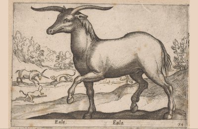 Horse with Horns (Eale, Animals and Fabulous Creatures, Nova raccolta de li animali piu curiosi del mondo) by Antonio Tempesta