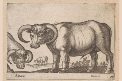 Cattle by Antonio Tempesta
