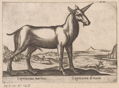 Capricorn as Sea Creature (Capricornus marinus) (Animals and Mythical Creatures) (Nova raccolta de li animali piu curiosi del mondo) by Antonio Tempesta