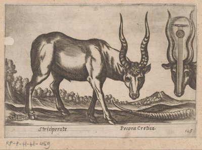 Two Antelopes by Antonio Tempesta