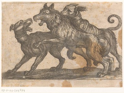 Two Dogs Fighting a Wolf (Fighting Animals) by Antonio Tempesta