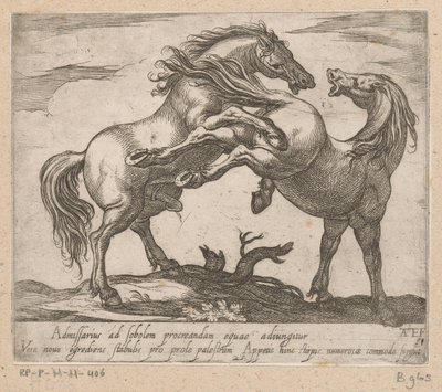 Two Mating Horses (Horses from Different Countries) by Antonio Tempesta