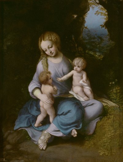 Virgin and Child with John the Baptist as a Boy by Antonio da Correggio