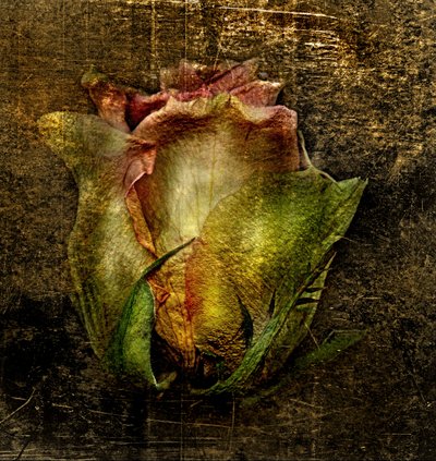 Artfloral -55 by Antonius Antonius