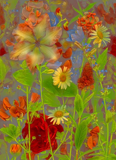 Artfloral No.5 Springtime Talk, 2016 by Antonius Antonius