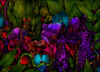 Magic Garden No.27-3, 2011 by Antonius Antonius