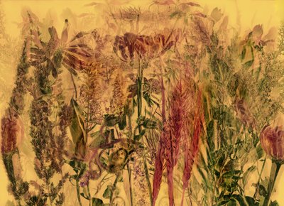 Anderswelt 92 by Antonius Antonius