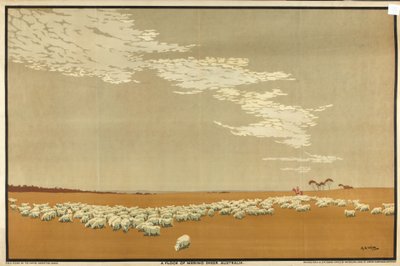 A Flock of Merino Sheep - Australia, from the series 