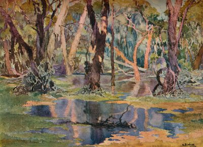 Quindanning Pool by Archibald Bertram Webb