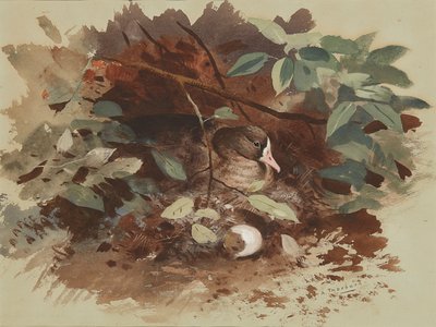 A Nesting Goose by Archibald Thorburn