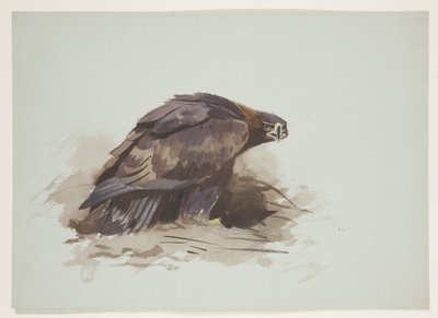 Golden Eagle, c.1915 by Archibald Thorburn