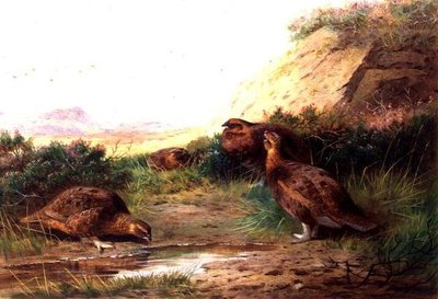 Grouse in a Landscape by Archibald Thorburn