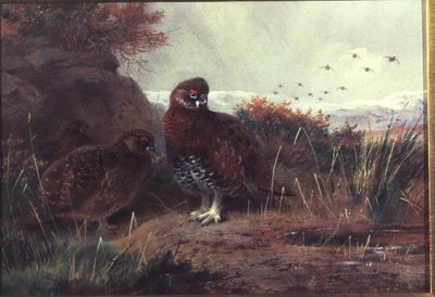 Grouse in a Winter Landscape by Archibald Thorburn