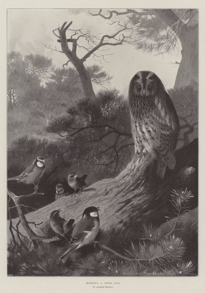 Mobbing a Wood-Owl by Archibald Thorburn