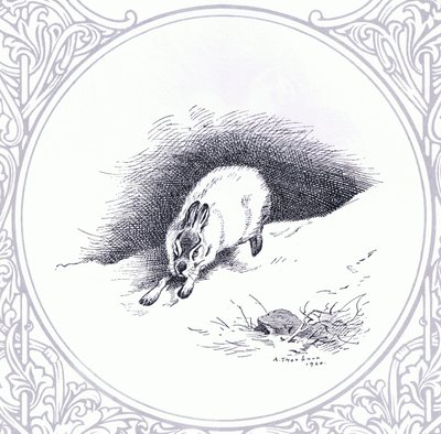Mountain Hare, pub. by Book Club Associates by Archibald Thorburn