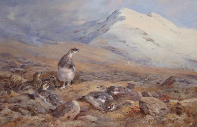 On the Ptarmigan Ground by Archibald Thorburn