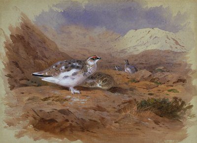 Ptarmigan in a Highland Landscape by Archibald Thorburn