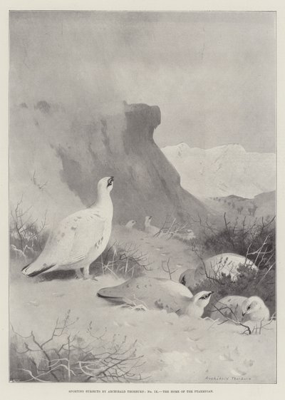 Sporting Subjects, the Home of the Ptarmigan by Archibald Thorburn