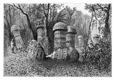 Ruins of an Ahom temple, Dinajpur, Upper Assam, India, 1895 by Armand Kohl