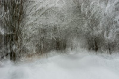 Dreamy Snowy Path von Arne Östlund