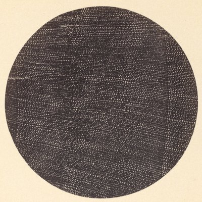 Microphotograph of Traverse Section of Wood Salisburia by Arthur Durham