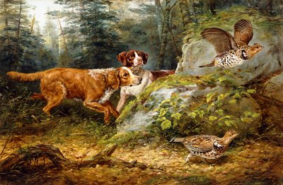 Flushed: Ruffed Grouse Shooting by Arthur Fitzwilliam Tait