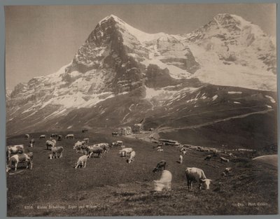 Cows on the Kleine Scheidegg in the Bernese Oberland, with the Eiger and the Mönch in the Background by Arthur Gabler