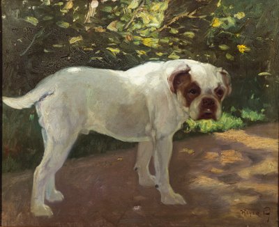 A Bulldog on a Garden Path by Arthur Heyer
